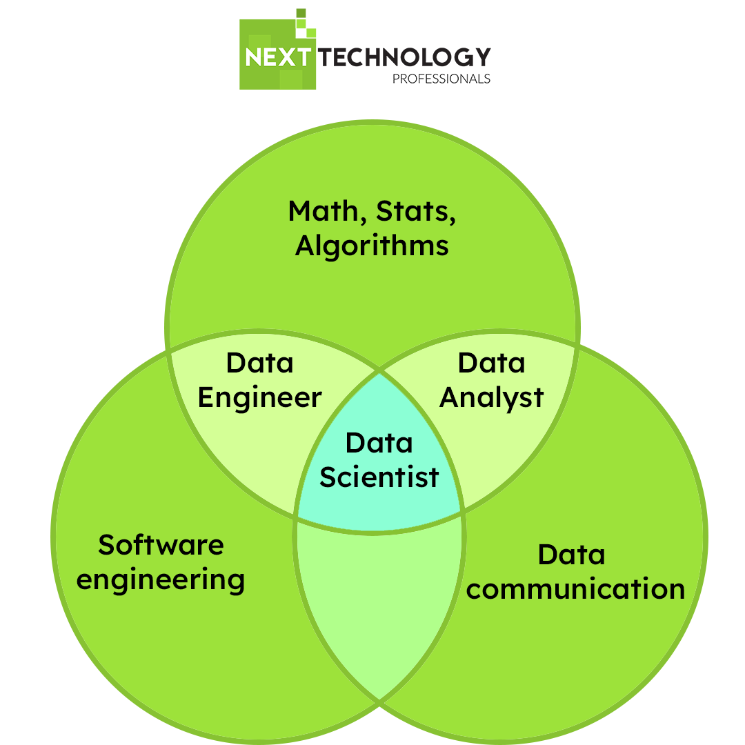 Hiring Data Analysts The Definitive Guide Next Technology Professionals